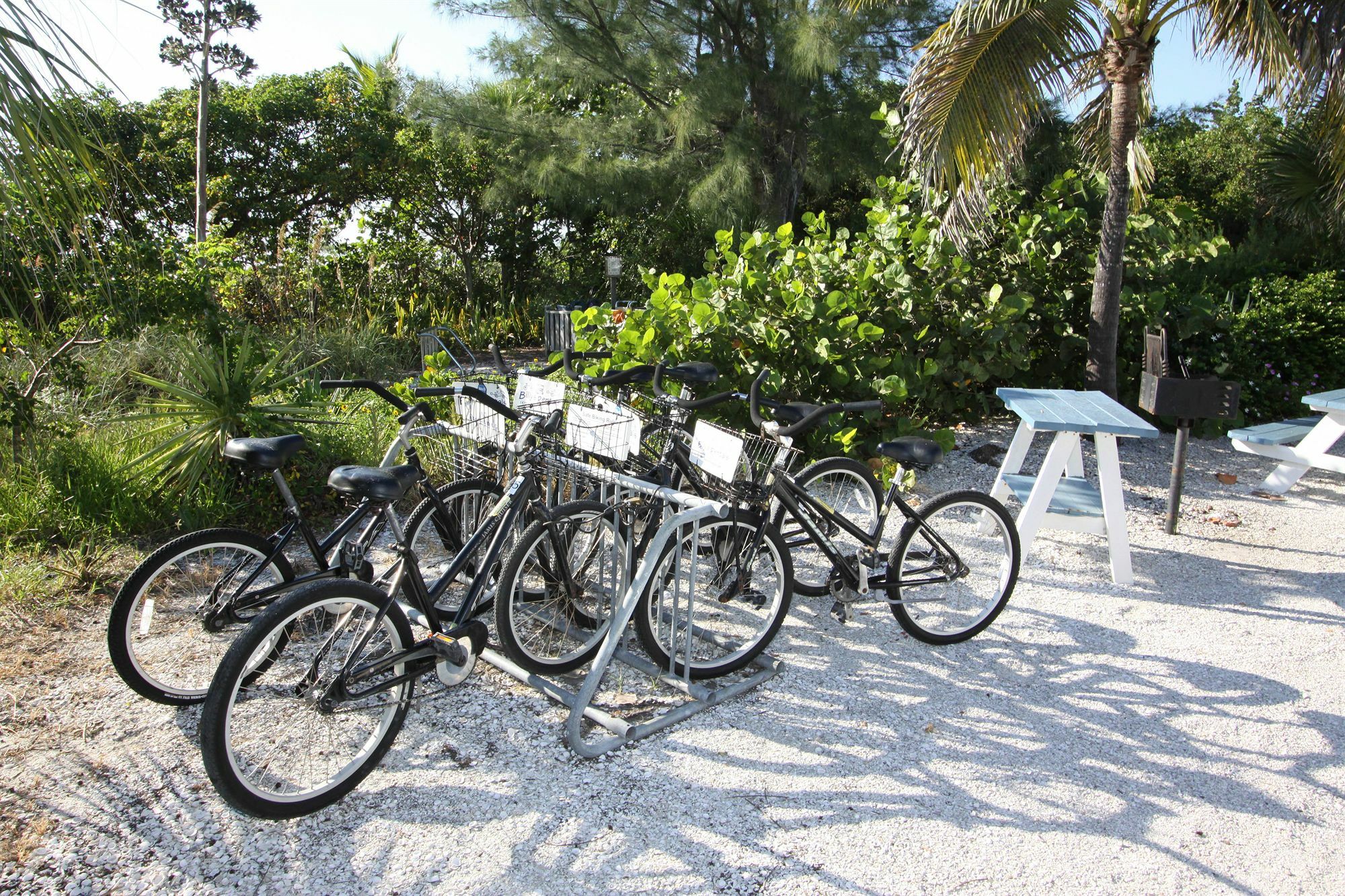 Tropical Winds Beachfront Motel And Cottages Sanibel Zewnętrze zdjęcie